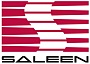 Автомобильные аккумуляторы для Saleen