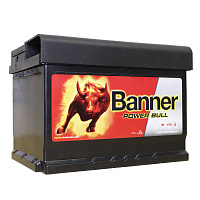 BANNER Power Bull P60 09 низ