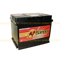 Banner Starting Bull 562 19