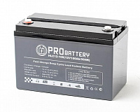PROBATTERY HLC12-100