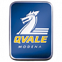 Автомобильные аккумуляторы для Qvale