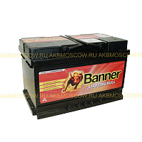 Banner Starting Bull 570 44