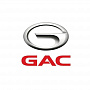 Автомобильные аккумуляторы для GAC