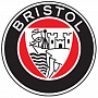 Автомобильные аккумуляторы для Bristol
