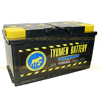 Тюмень Standard 6СТ-100 L+