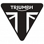 Автомобильные аккумуляторы для Triumph