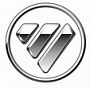 Автомобильные аккумуляторы для Foton