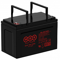 WBR EVX 100-12NG