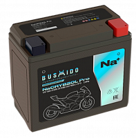 BUSHIDO NaCRYB20L pro YT20L-4