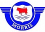 Автомобильные аккумуляторы для Morris