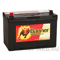 BANNER Power Bull ASIA 95 05