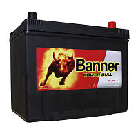 Banner Power Bull P7029